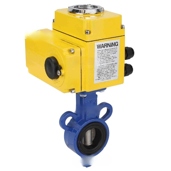 Wasser-Schmetterlingsventil Elephant WBV0232E-2W-Fb-H, Gehäusematerial - Aluminiumlegierung, Scheibenmaterial - Edelstahl AISI 316L, Dichtung - EPDM, elektrischer Antrieb QT-N-хEM-A1 220V