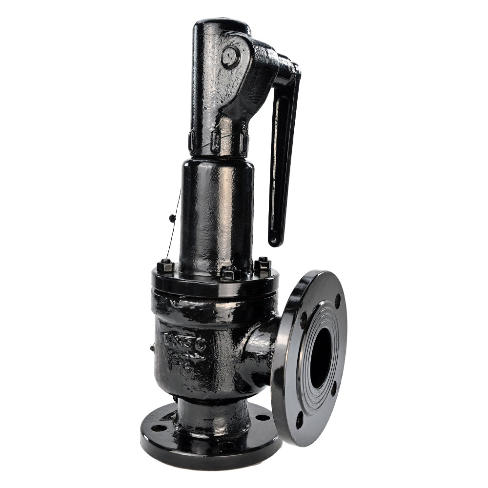 Feder-Sicherheitsventil Elephant SAFE 7011 1-1.6, Gehäusematerial - Edelstahl AISI A10, Verschlusselementmaterial - Edelstahl AISI 420, Dichtung - METALL