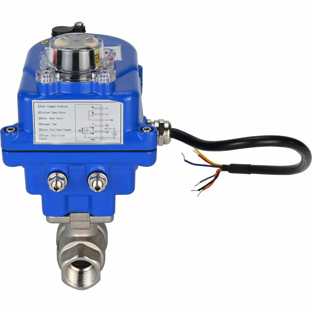 Edelstahl-Kugelhahn Elephant BVMP.316.230-ISO PSI914 SS316 mit Gewinde, elektrischer Schwenkantrieb Elephant 003 blau 220 V