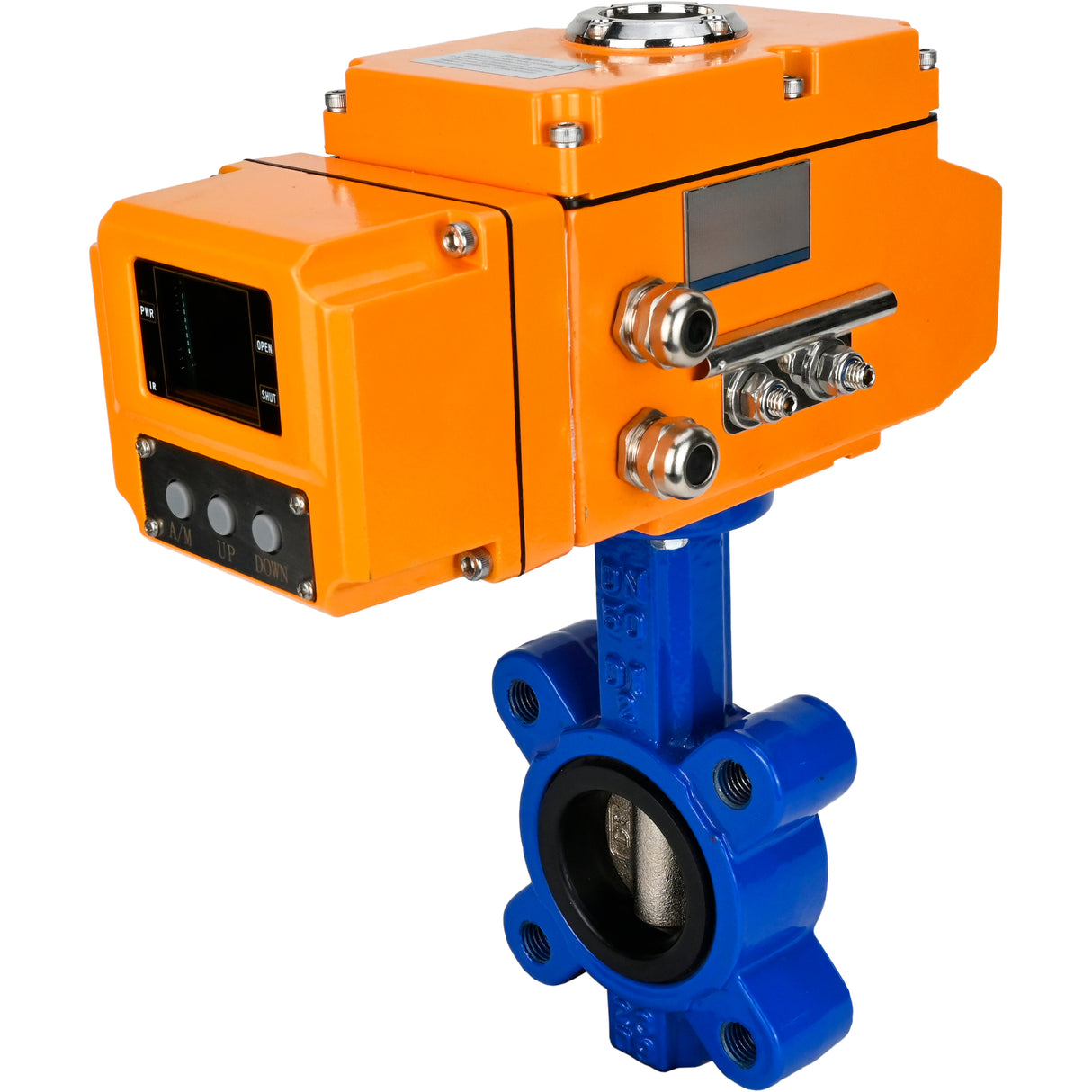 Wasser-Schmetterlingsventil Elephant WBV1616E-2W-Fb-H, Gehäusematerial - Gusseisen QT450, Scheibenmaterial - Gusseisen QT450, Dichtung - EPDM, elektrischer Antrieb QT-N-EM-B1-220VAC-U1 220V