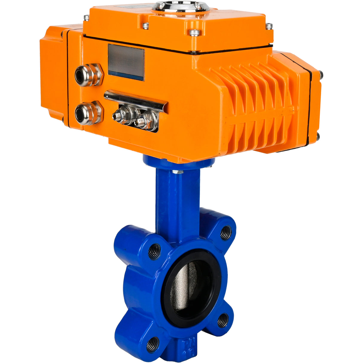 Wasser-Schmetterlingsventil Elephant WBV1616E-2W-Fb-H, Gehäusematerial - Gusseisen QT450, Scheibenmaterial - Gusseisen QT450, Dichtung - EPDM, elektrischer Antrieb QT-N-EM-B1-220VAC-U1 220V