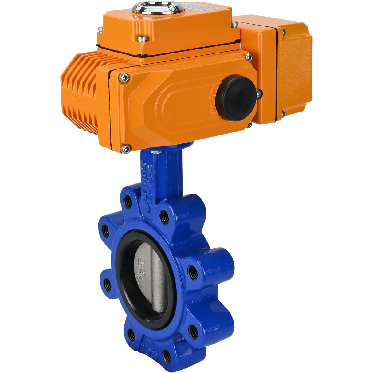 Wasser-Schmetterlingsventil Elephant WBV1631N-2W-Fb-H, Gehäusematerial - Gusseisen QT450, Scheibenmaterial - Edelstahl AISI 304, Dichtung - NBR, elektrischer Antrieb QT-N-EM-B1-220VAC-U1 220V