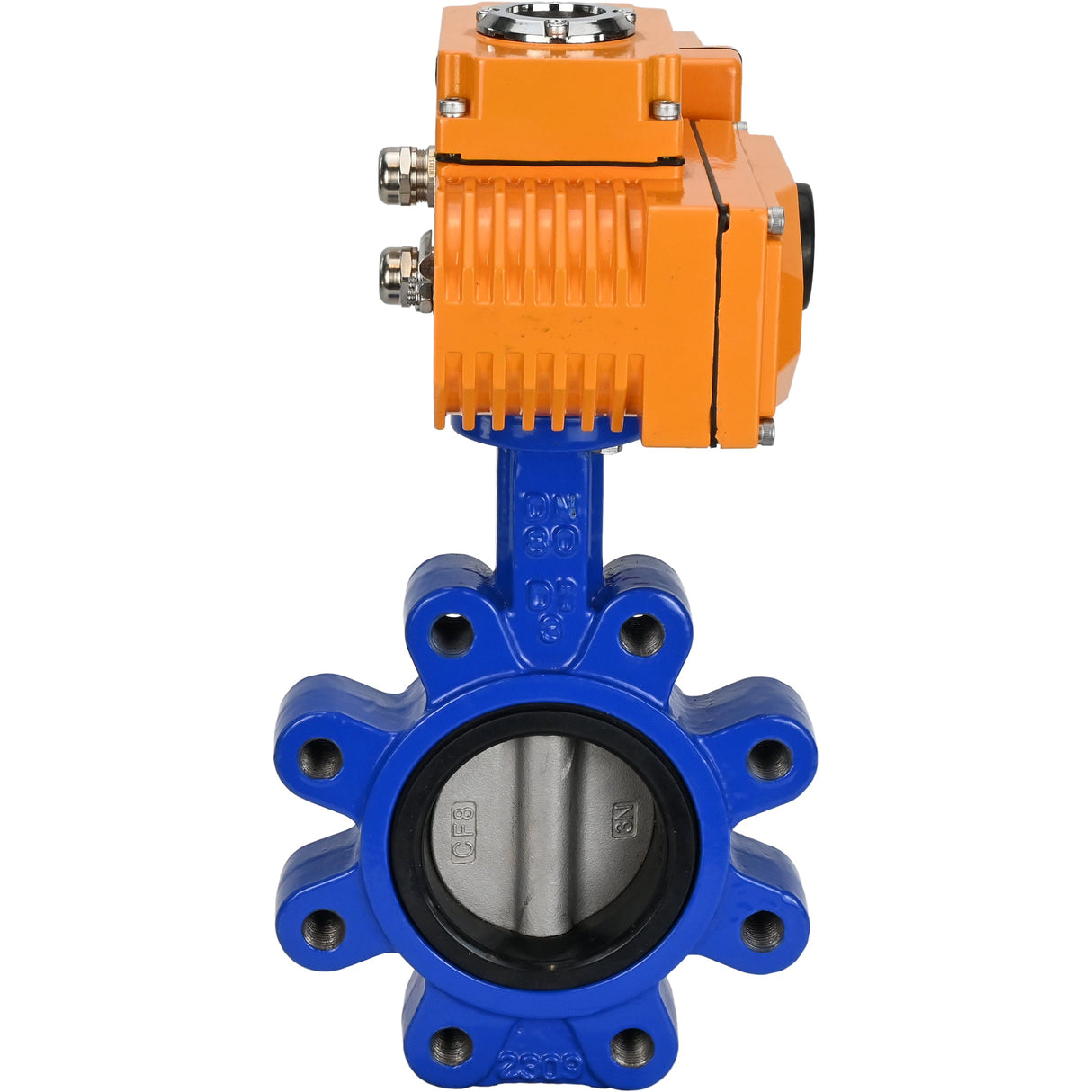 Wasser-Schmetterlingsventil Elephant WBV1631N-2W-Fb-H, Gehäusematerial - Gusseisen QT450, Scheibenmaterial - Edelstahl AISI 304, Dichtung - NBR, elektrischer Antrieb QT-N-EM-B1-220VAC-U1 220V