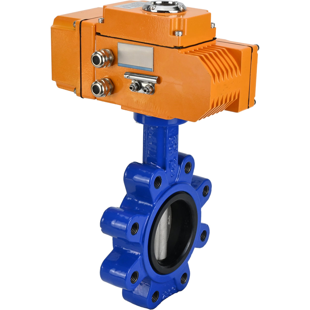 Wasser-Schmetterlingsventil Elephant WBV1631N-2W-Fb-H, Gehäusematerial - Gusseisen QT450, Scheibenmaterial - Edelstahl AISI 304, Dichtung - NBR, elektrischer Antrieb QT-N-EM-B1-220VAC-U1 220V