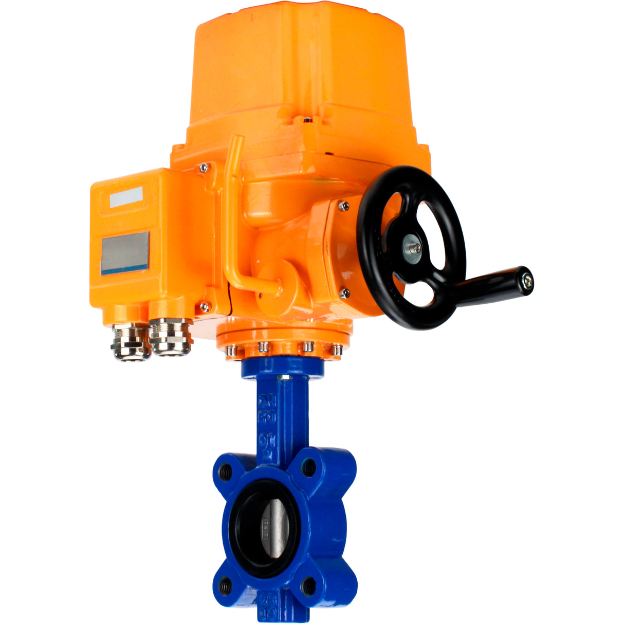 Wasser-Schmetterlingsventil Elephant WBV1631E-2W-Fb-H, Gehäusematerial - Gusseisen QT450, Scheibenmaterial - Edelstahl AISI 304, Dichtung - EPDM, elektrischer Antrieb QT-EX-EM-O2-24VDC-U1 24V