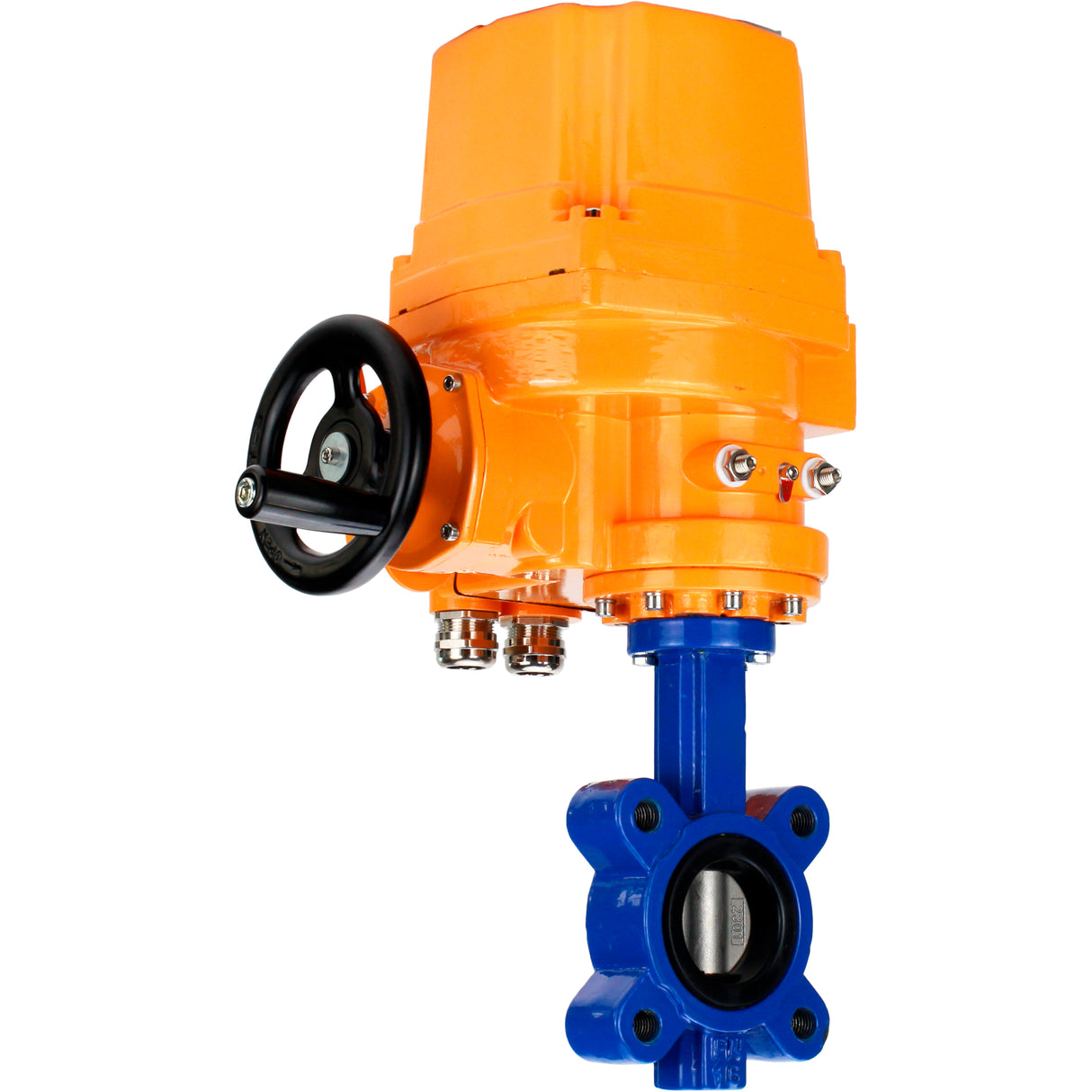 Wasser-Schmetterlingsventil Elephant WBV1631E-2W-Fb-H, Gehäusematerial - Gusseisen QT450, Scheibenmaterial - Edelstahl AISI 304, Dichtung - EPDM, elektrischer Antrieb QT-EX-EM-O2-24VDC-U1 24V