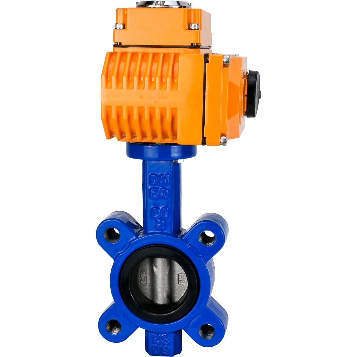 Wasser-Schmetterlingsventil Elephant WBV1631E-2W-Fb-H, Gehäusematerial - Gusseisen QT450, Scheibenmaterial - Edelstahl AISI 304, Dichtung - EPDM, elektrischer Antrieb QT-N-EM-O1-24VDC-U1 24V