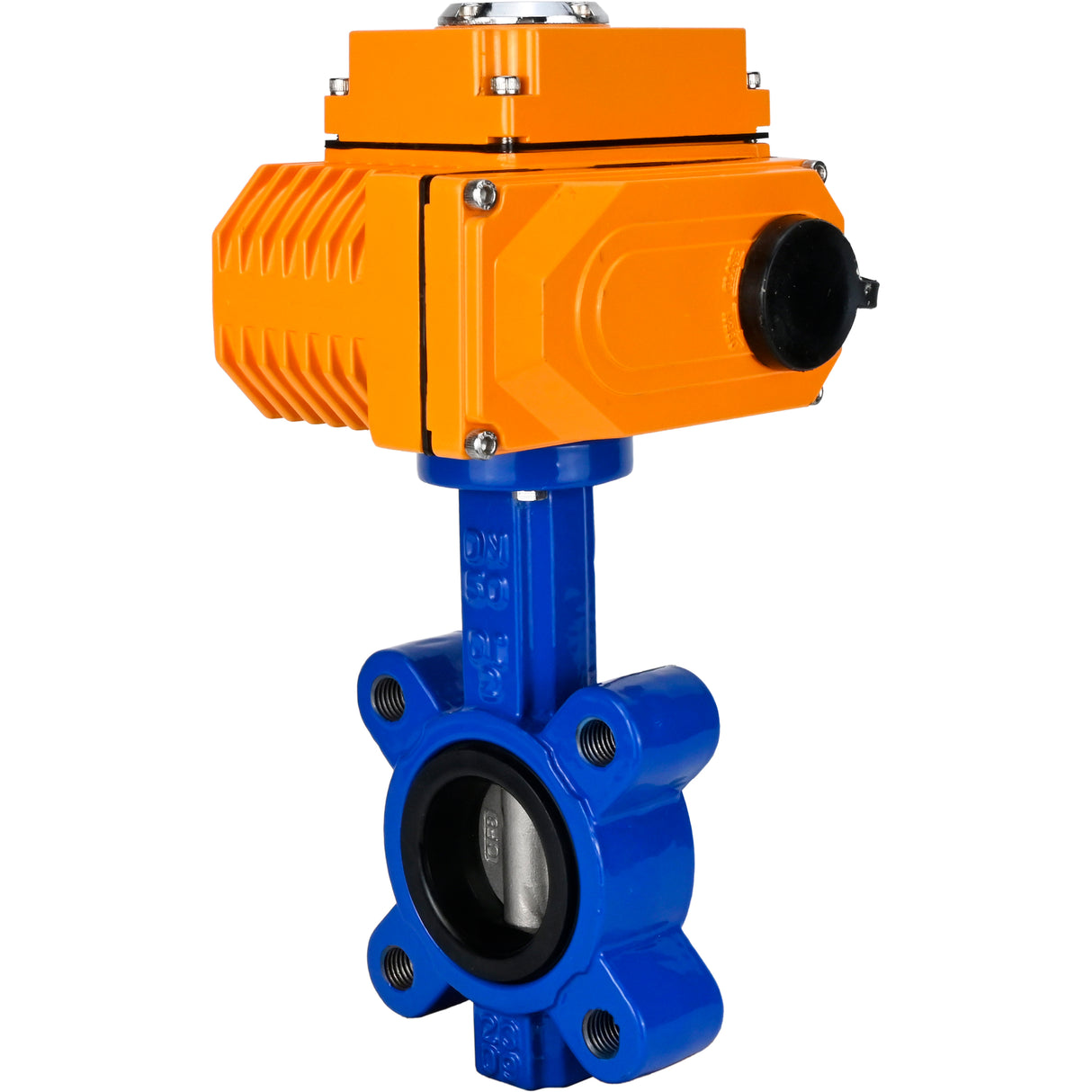 Wasser-Schmetterlingsventil Elephant WBV1631E-2W-Fb-H, Gehäusematerial - Gusseisen QT450, Scheibenmaterial - Edelstahl AISI 304, Dichtung - EPDM, elektrischer Antrieb QT-N-EM-O1-24VDC-U1 24V