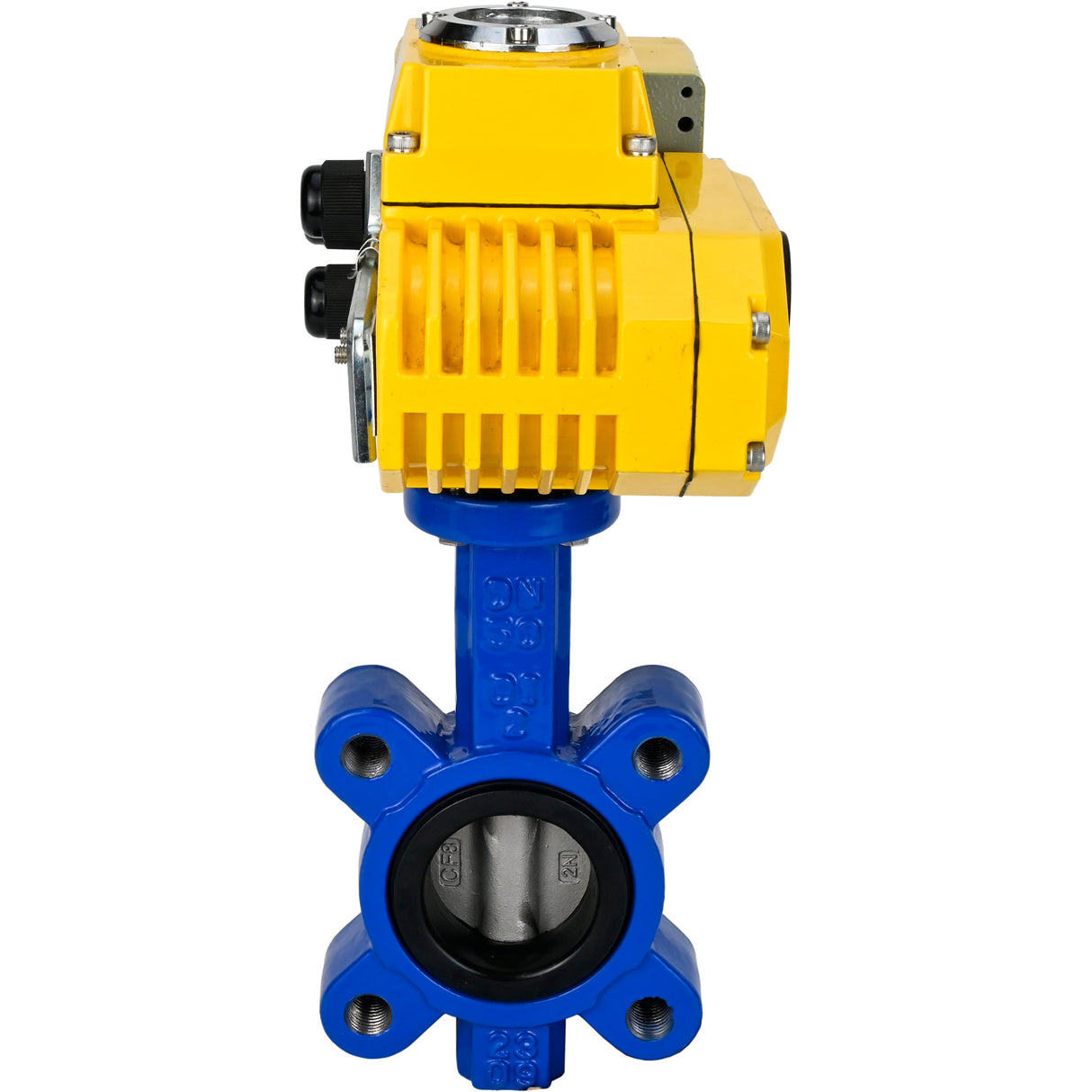 Wasser-Schmetterlingsventil Elephant WBV1631E-2W-Fb-H, Gehäusematerial - Gusseisen QT450, Scheibenmaterial - Edelstahl AISI 304, Dichtung - EPDM, elektrischer Antrieb QT-N-EM-A1-220VAC-U1 220V