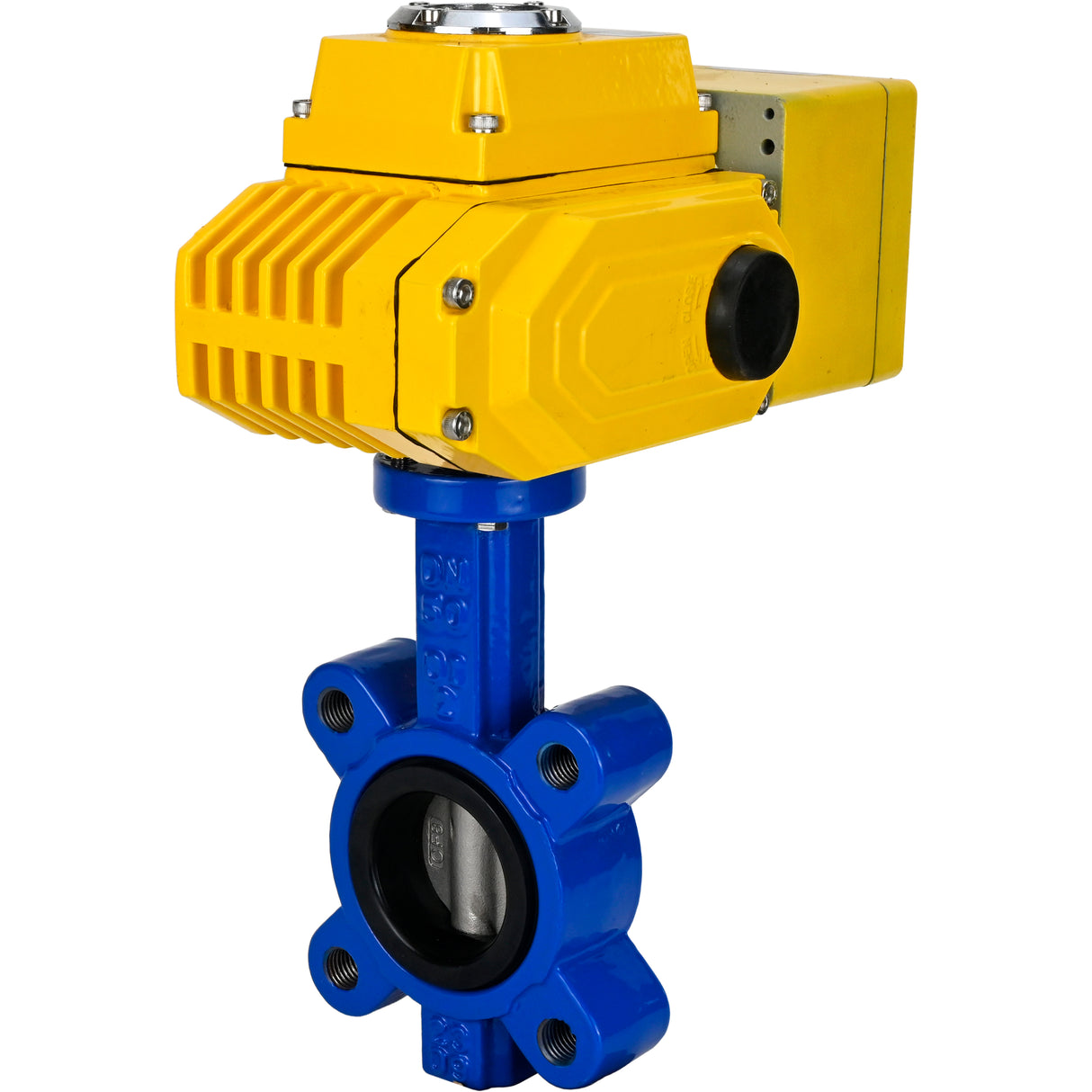 Wasser-Schmetterlingsventil Elephant WBV1631E-2W-Fb-H, Gehäusematerial - Gusseisen QT450, Scheibenmaterial - Edelstahl AISI 304, Dichtung - EPDM, elektrischer Antrieb QT-N-EM-A1-220VAC-U1 220V