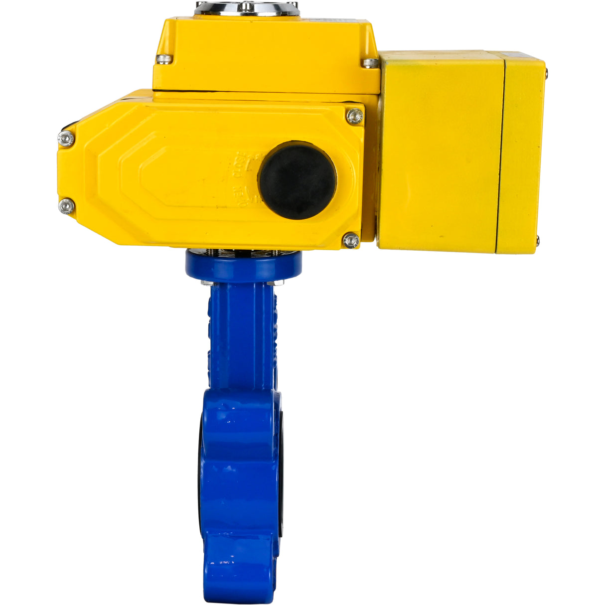 Wasser-Schmetterlingsventil Elephant WBV1631E-2W-Fb-H, Gehäusematerial - Gusseisen QT450, Scheibenmaterial - Edelstahl AISI 304, Dichtung - EPDM, elektrischer Antrieb QT-N-EM-A1-220VAC-U1 220V