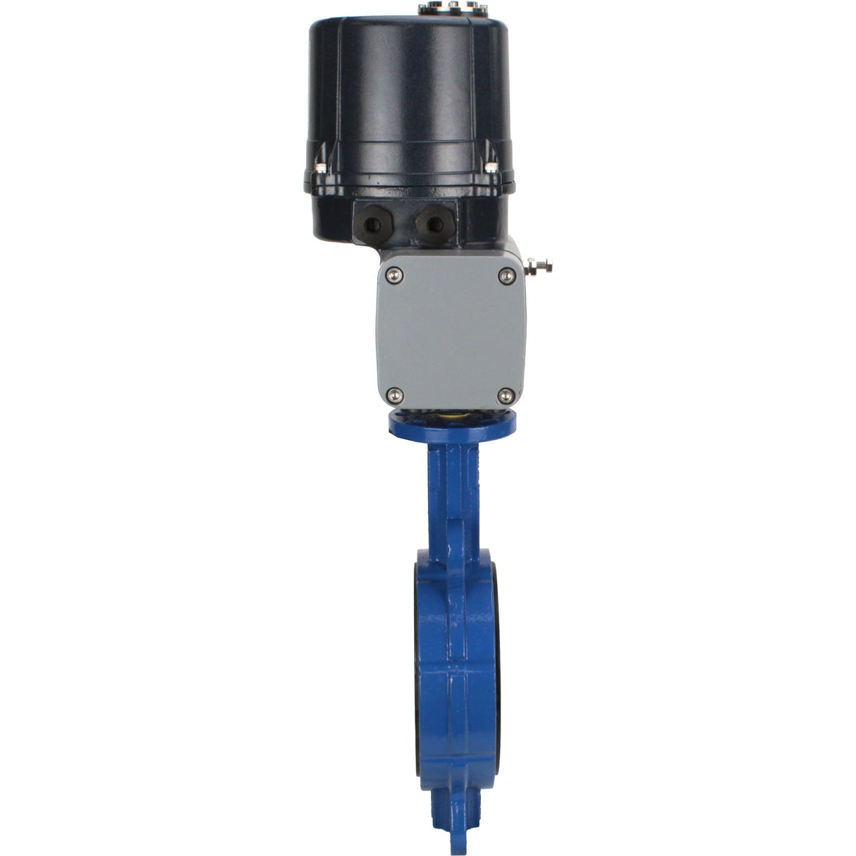 Absperrklappen Elephant WBV3432V-2W-Fb-H mit Zwischenflansch, Gehäuse - WCB Kohlenstoffstahl, Scheibe - Edelstahl 316L, Dichtung - Viton, mit elektrischem Vierteldrehantrieb Elephant QTSA-N-EM-O0-220VAC