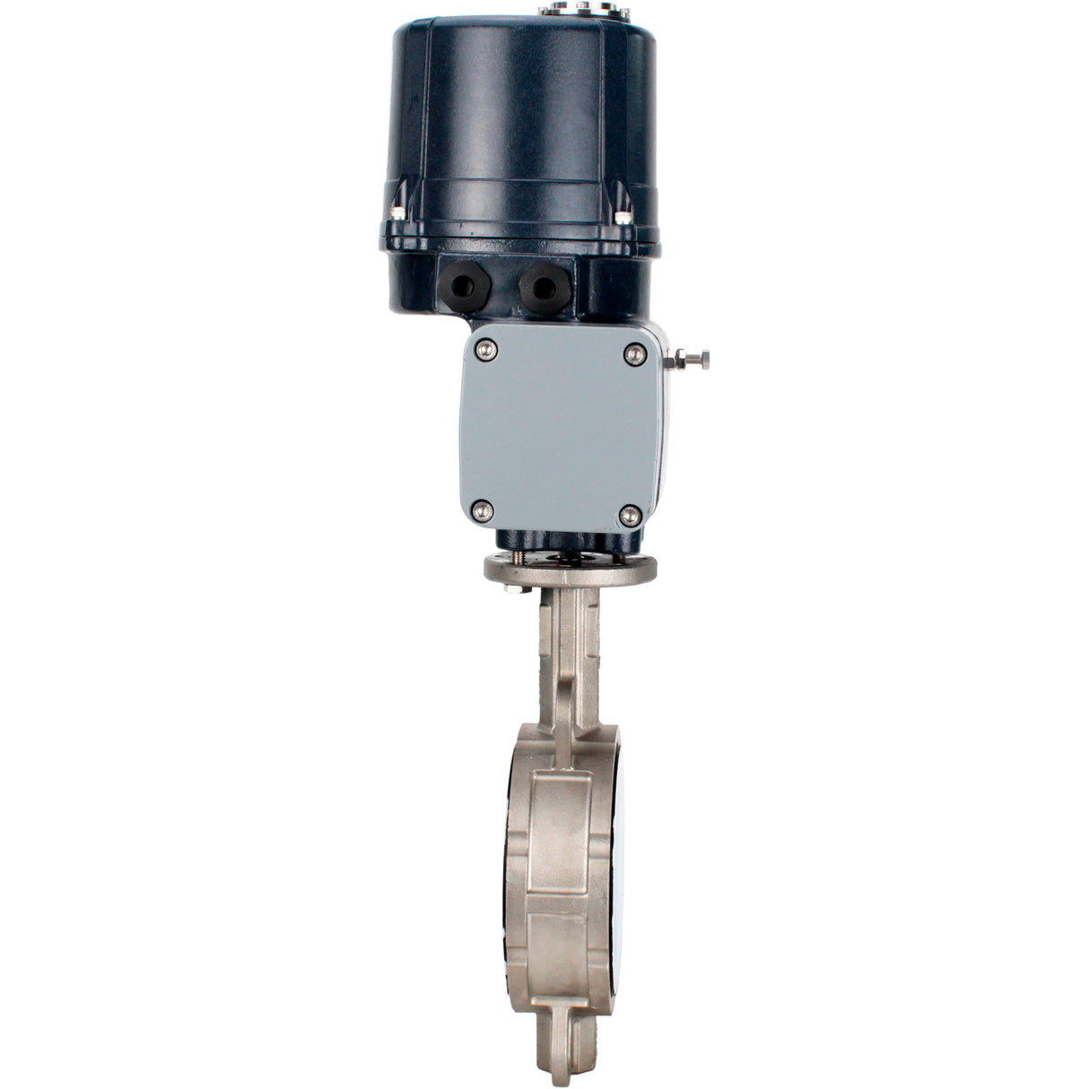 Absperrklappen Elephant WBV3232P-2W-Fb-H mit Zwischenflansch, Gehäuse - Edelstahl AISI 316L, Scheibe - Edelstahl 316L, Dichtung - PTFE, mit elektrischem Vierteldrehantrieb Elephant QTSA-N-EM-O0-220VAC