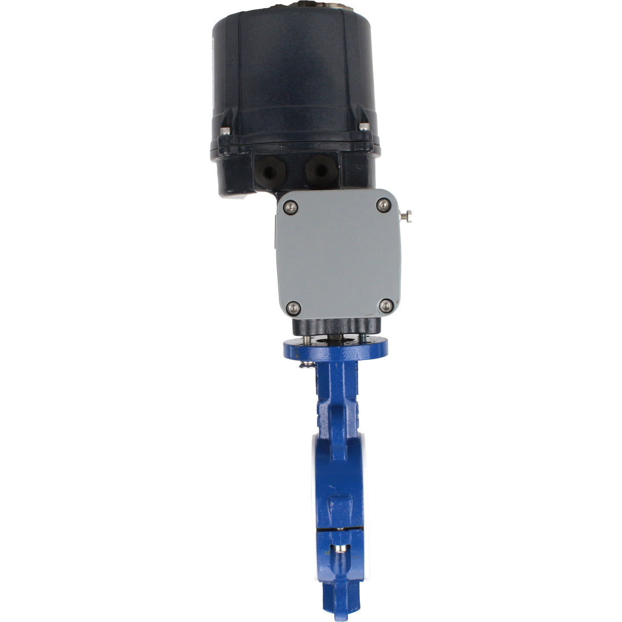 Schmetterlingsventile Elephant WBV3434Pf-2W-Fb-H ausgekleidet, zwischenflanschig, Gehäuse - Kohlenstoffstahl WCB, Scheibe - Kohlenstoffstahl WCB, Dichtung - PTFE, mit elektrischem Vierteldrehantrieb Elephant QTSA-N-EM-O0-220VAC