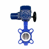 Wasser-Drosselklappe Elephant WCB-316L-PTFE Gehäusematerial - Kohlenstoffstahl WCB, Scheibenmaterial - Edelstahl AISI 316L, Dichtung - PTFE mit elektrischem 1/4-Drehantrieb Elephant QT-W (M) EX 220V