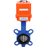 Wasser-Drosselklappe Elephant GGG50-316L-EPDM Gehäusematerial - Gusseisen GGG50, Scheibenmaterial - Edelstahl 316L, Dichtung - EPDM mit Elektroantrieb Elephant 220V