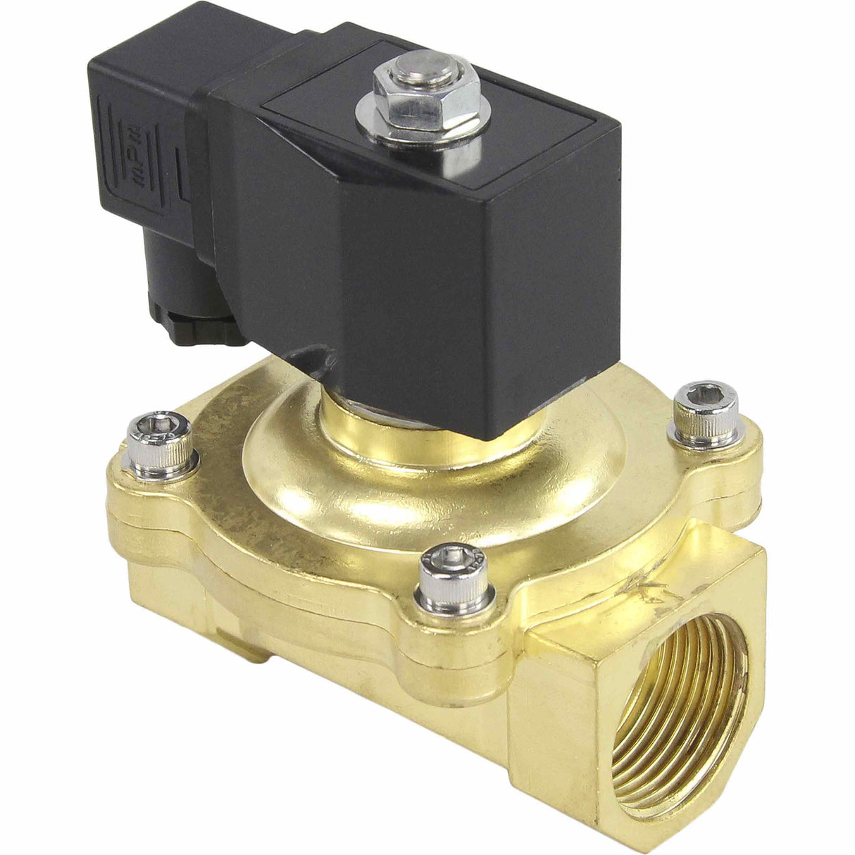 Zweiwege-Elektromagnetventil, normalerweise geschlossen, direkt wirkend, Elephant VS2W-200V-NC, VITON 110/220 V, Gehäusematerial – Messing, Dichtung – Viton