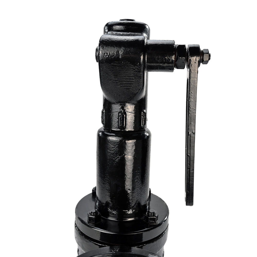 Feder-Sicherheitsventil Elephant SAFE 7011 1.6-2.5, Gehäusematerial - Edelstahl AISI A10, Verschlusselementmaterial - Edelstahl AISI 420, Dichtung - METALL