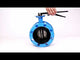 Wasser-Drosselklappe Elephant WBV1331E-2W-F-H, Gehäusematerial - Gusseisen GGG40, Scheibenmaterial - Edelstahl AISI 304, Dichtung - EPDM, Griff