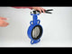 Wasser-Drosselklappe Elephant WBV1632E-2W-Fb, Gehäusematerial - Gusseisen QT450, Scheibenmaterial - Edelstahl AISI 316, Dichtung - EPDM, Griff