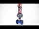 Differenzdruckregler Elephant PRD PSI 232 Klasse 125 RF Gusseisen-Flanschanschluss