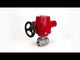 Edelstahl-Kugelhahn Elephant RP.SS316.200.MM.ISO 914 PSI mit Gewinde, Standardanschluss, Dreiweg, L-Typ, Gehäusematerial - Edelstahl AISI 316, mit elektrischem Schwenkantrieb Elephant QT-W (M) EX 380V