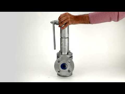 Federbelastete Sicherheitsentlastungsventile Elephant VR2130M-F Vollhub, geflanscht, Gehäuse - Stahl 25L, Scheibe - Stahl 20X13, Dichtung - Metall