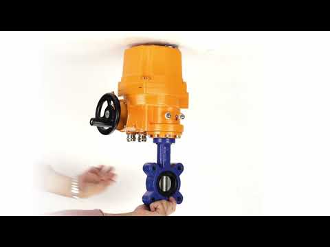 Wasser-Schmetterlingsventil Elephant WBV1616E-2W-Fb-H, Gehäusematerial - Gusseisen QT450, Scheibenmaterial - Gusseisen QT450, Dichtung - EPDM, elektrischer Antrieb QT-EX-EM-O2-220VAC-U1 220V