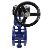 Wasser-Schmetterlingsventil Elephant WBV3EX-3432M-1W-F-ISO, Gehäusematerial - Kohlenstoffstahl, Scheibenmaterial - Edelstahl AISI 316, Dichtung - Metall, Getriebe RDN RQN