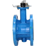 Wasser-Drosselklappe Elephant WBV1331E-2W-F-H, Gehäusematerial - Gusseisen GGG40, Scheibenmaterial - Edelstahl AISI 304, Dichtung - EPDM, Griff