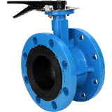 Wasser-Drosselklappe Elephant WBV1331E-2W-F-H, Gehäusematerial - Gusseisen GGG40, Scheibenmaterial - Edelstahl AISI 304, Dichtung - EPDM, Griff
