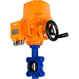 Wasser-Schmetterlingsventil Elephant WBV1616N-2W-Fb-H, Gehäusematerial - Gusseisen QT450, Scheibenmaterial - Gusseisen QT450, Dichtung - NBR, elektrischer Antrieb QT-EX-EM-O2-380VAC-U1 380V