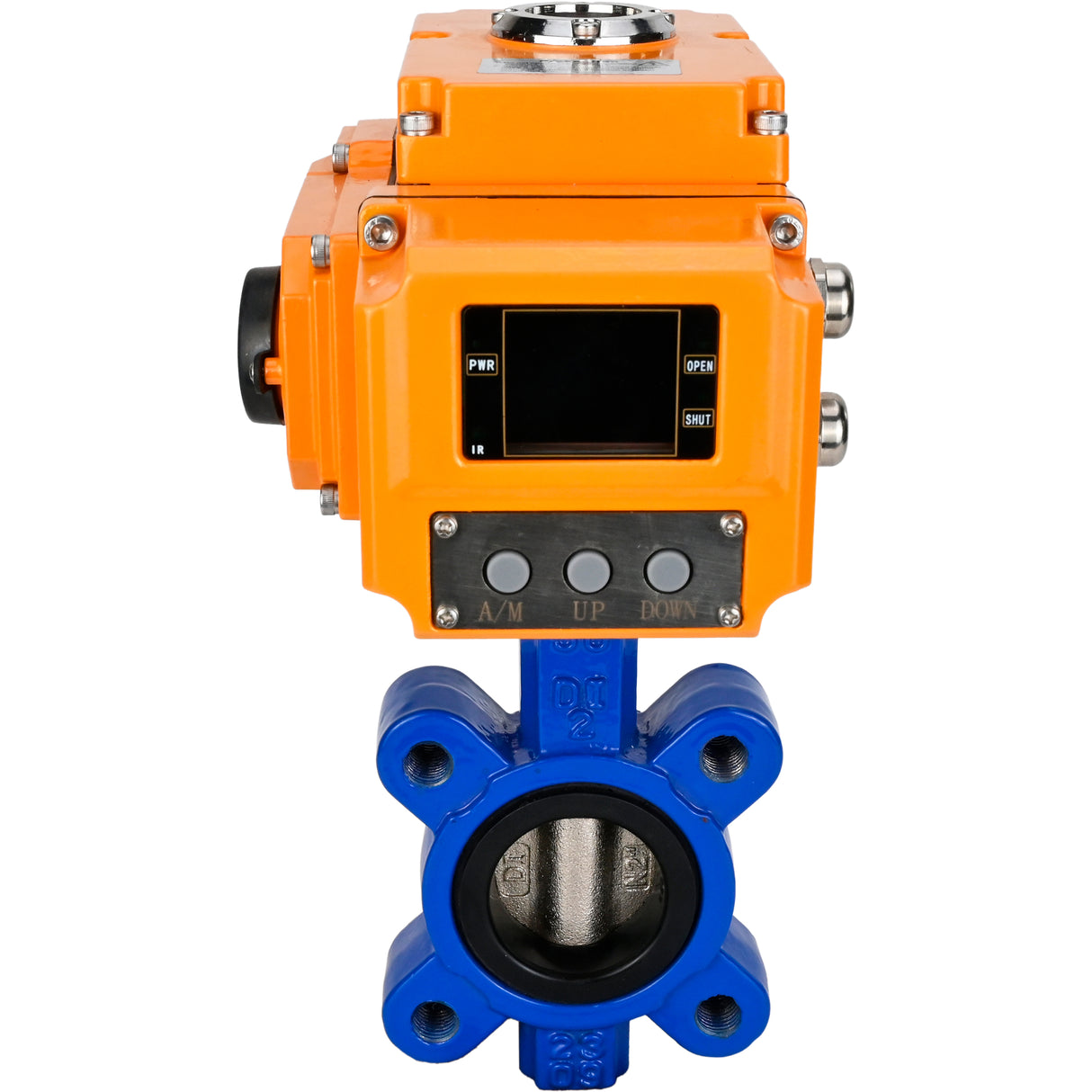 Wasser-Schmetterlingsventil Elephant WBV1616E-2W-Fb-H, Gehäusematerial - Gusseisen QT450, Scheibenmaterial - Gusseisen QT450, Dichtung - EPDM, elektrischer Antrieb QT-N-EM-B1-220VAC-U1 220V