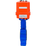 Wasser-Schmetterlingsventil Elephant WBV1616E-2W-Fb-H, Gehäusematerial - Gusseisen QT450, Scheibenmaterial - Gusseisen QT450, Dichtung - EPDM, elektrischer Antrieb QT-N-EM-O1-220VAC-U1 MINI 220V