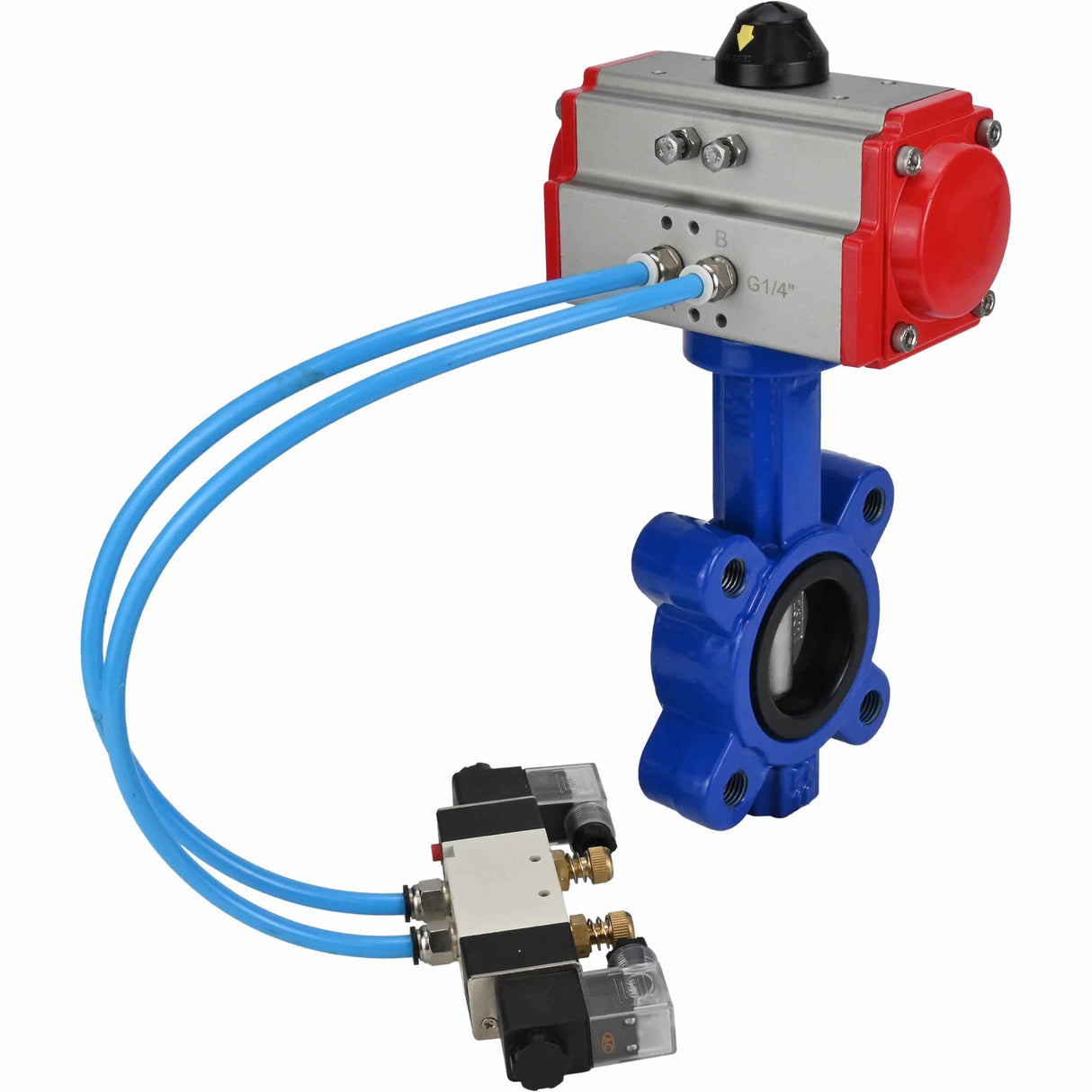 Wasser-Schmetterlingsventil Elephant WBV1631E-2W-Fb-H, Gehäusematerial - Gusseisen QT450, Scheibenmaterial - Edelstahl AISI 304, Dichtung - EPDM, mit pneumatischem Doppelwirkungsantrieb PA-DA, 4V320-08 220V