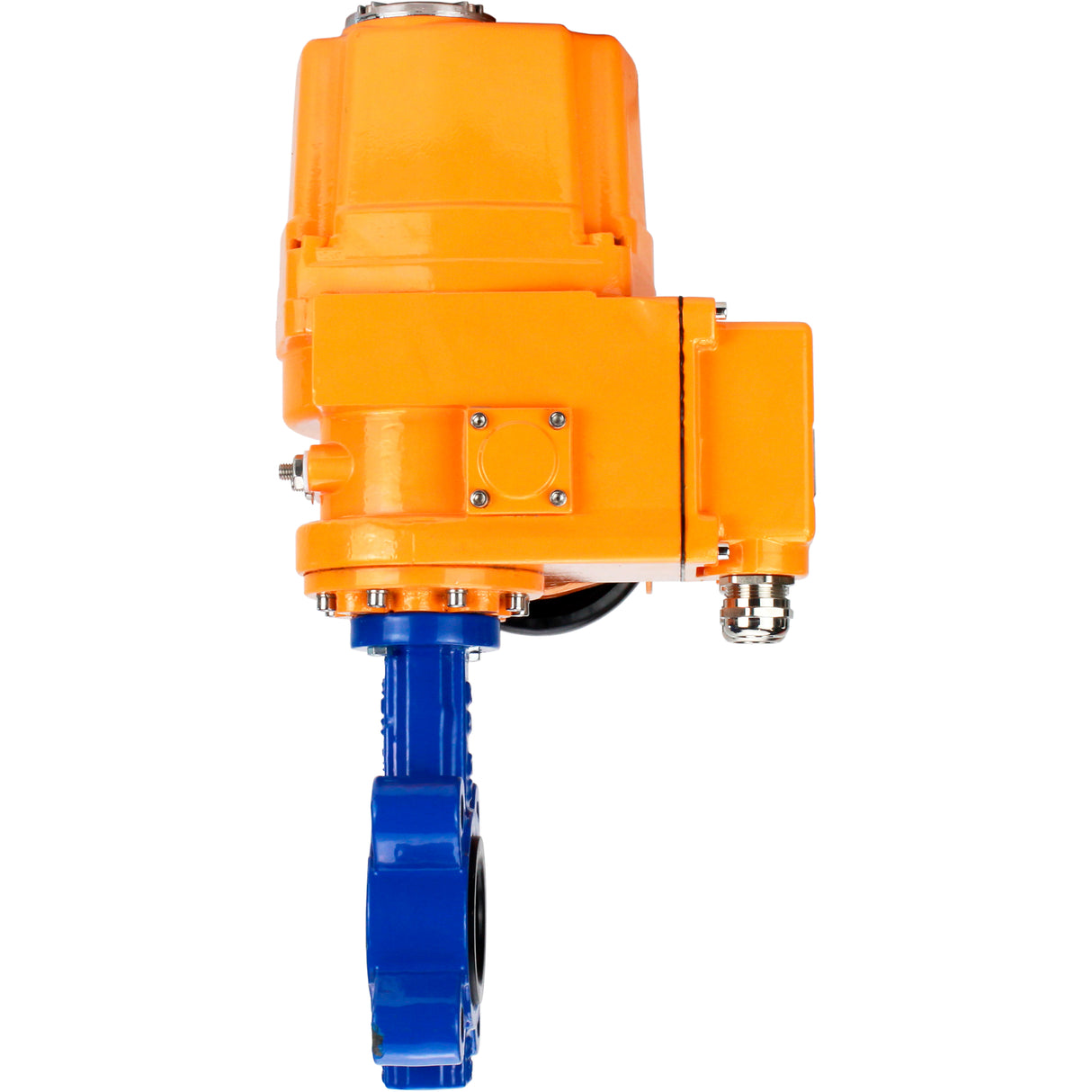 Wasser-Schmetterlingsventil Elephant WBV1631N-2W-Fb-H, Gehäusematerial - Gusseisen QT450, Scheibenmaterial - Edelstahl AISI 304, Dichtung - NBR, elektrischer Antrieb QT-EX-EM-O2-380VAC-U1 380V