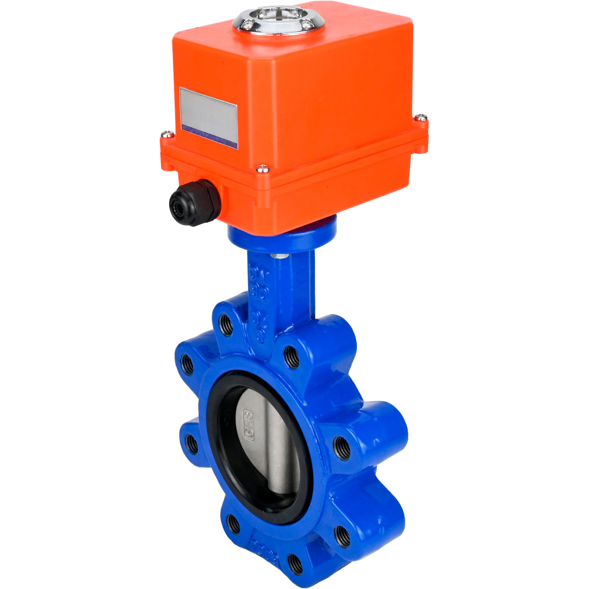 Wasser-Schmetterlingsventil Elephant WBV1631E-2W-Fb-H, Gehäusematerial - Gusseisen QT450, Scheibenmaterial - Edelstahl AISI 304, Dichtung - EPDM, elektrischer Antrieb QT-N-EM-O1-220VAC-U1 MINI 220V