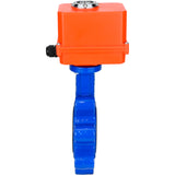 Wasser-Schmetterlingsventil Elephant WBV1631E-2W-Fb-H, Gehäusematerial - Gusseisen QT450, Scheibenmaterial - Edelstahl AISI 304, Dichtung - EPDM, elektrischer Antrieb QT-N-EM-O1-220VAC-U1 MINI 220V