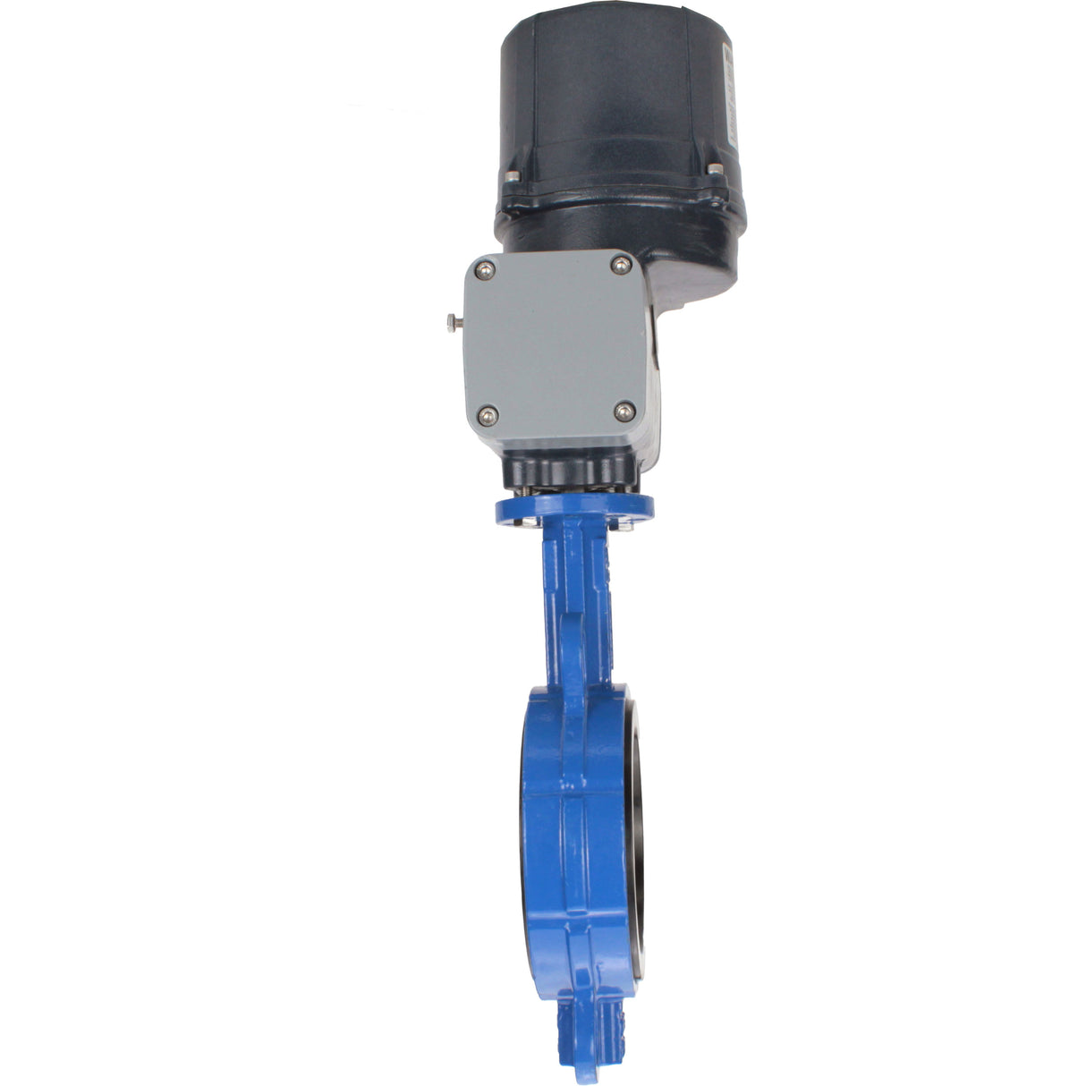Schmetterlingsventile für abrasive Medien Elephant WBV1632E-2W-Fb-Flansch, Gehäuse - Gusseisen QT450, Scheibe - Edelstahl 316L, Dichtung - EPDM, mit elektrischem Vierteldreh-Antrieb Elephant QTSA-N-EM-O0-220VAC