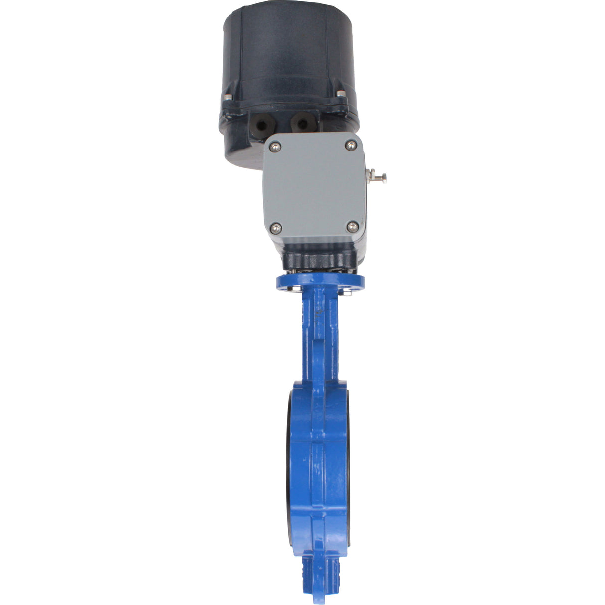 Schmetterlingsventile für abrasive Medien Elephant WBV1632E-2W-Fb-Flansch, Gehäuse - Gusseisen QT450, Scheibe - Edelstahl 316L, Dichtung - EPDM, mit elektrischem Vierteldreh-Antrieb Elephant QTSA-N-EM-O0-220VAC