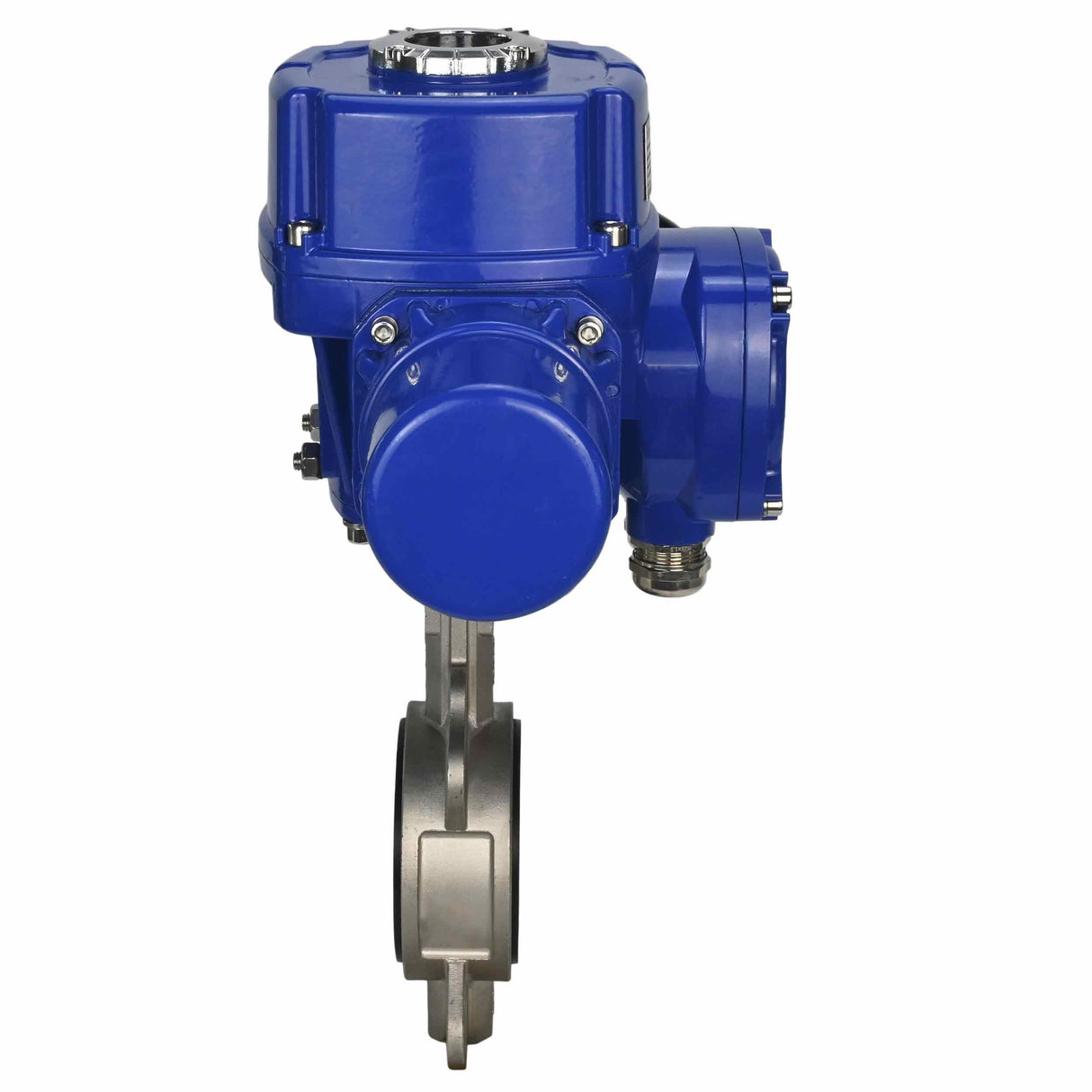 Wasser-Schmetterlingsventil Elephant 316l-316l-epdm-elephant-qt-w-m-110/220v, Gehäusematerial - Edelstahl AISI 316L, Scheibenmaterial - Edelstahl AISI 316L, Dichtung - EPDM, elektrisch betätigter Antrieb
