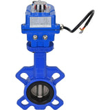 Wasser-Drosselklappe Elephant GGG50-316L-EPDM Gehäusematerial - Gusseisen GGG50, Scheibenmaterial - Edelstahl 316L, Dichtung - EPDM mit Elektroantrieb Elephant 220V
