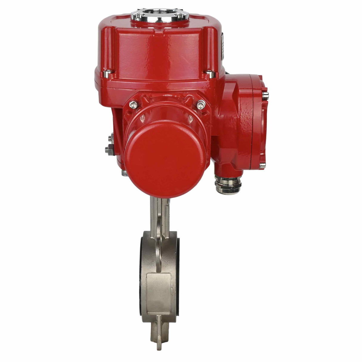 Wasser-Schmetterlingsventil Elephant 316L-316L-PTFE Gehäusematerial - Edelstahl AISI 316L, Scheibenmaterial - Edelstahl AISI 316L, Dichtung - PTFE mit 1/4-Umdrehung elektrischem Antrieb Elephant QT-W (M) EX 380V